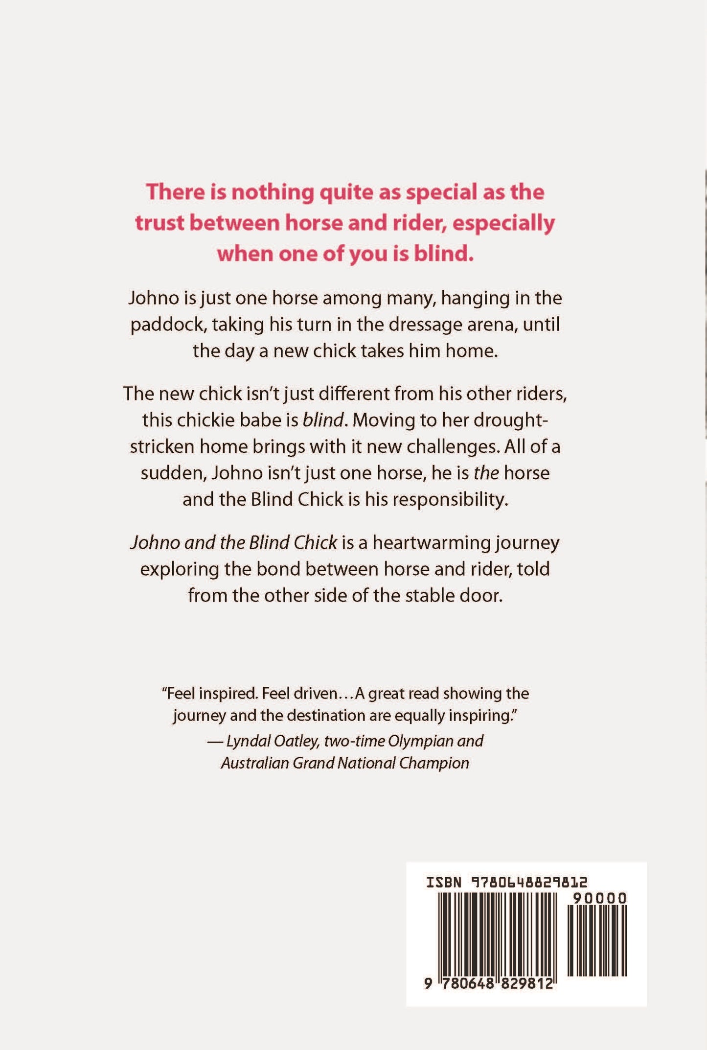 Johno & The Blind Chick - Vision is More than Seeing